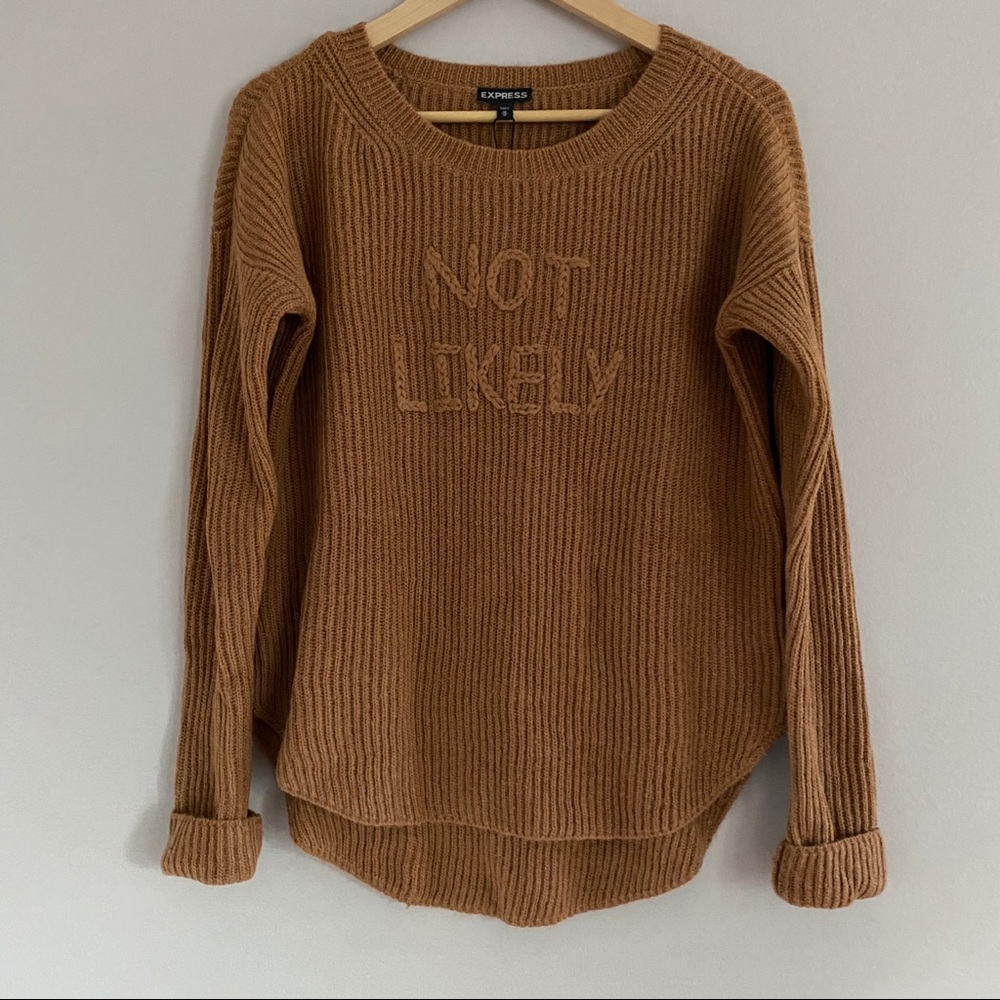 NWT Express “Not Likely” Sweater